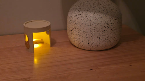 Buy Iconic Canberra Bus Shelter Lamp
